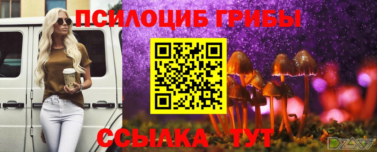 Галлюциногенные грибы MAGIC MUSHROOMS  Вход с VPN  купить наркоту  Вышний Волочёк 